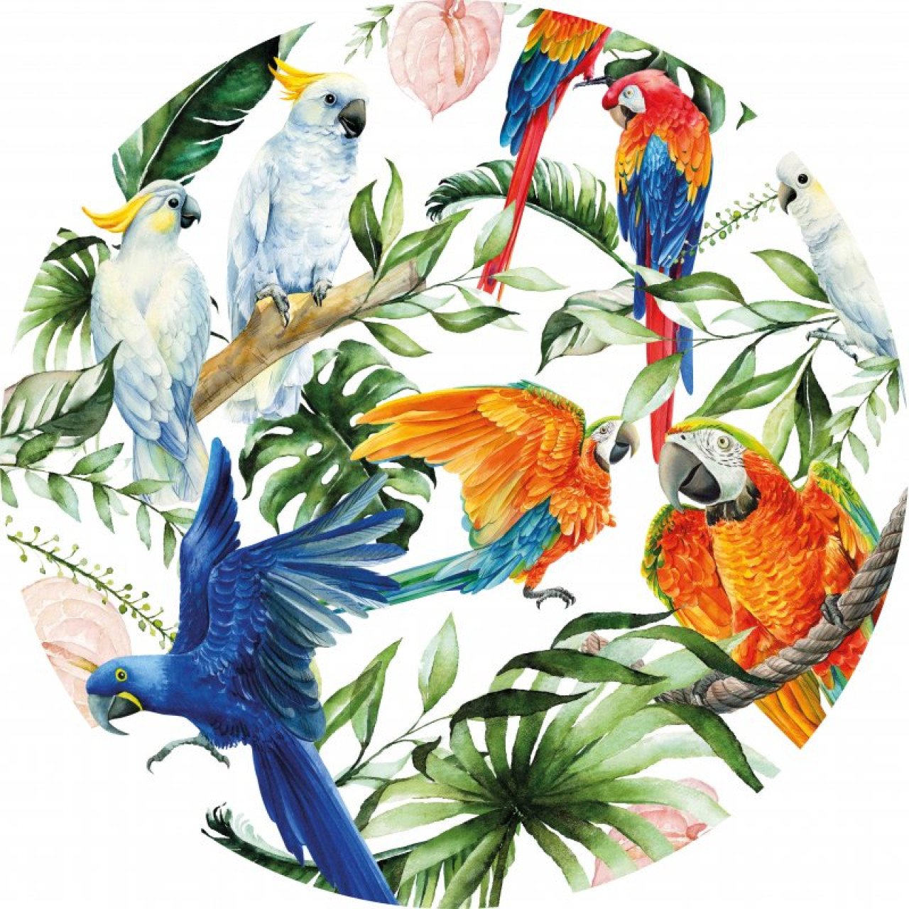 Horzel Makkelijk te gebeuren Cyberruimte Wandcirkel Tropische Vogels 80 cm kopen? » Heinen Delfts Blauw